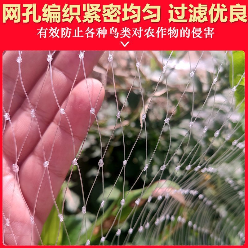 尼龙防鸟网天网驱鸟网果树樱桃葡萄果园农田养殖鱼塘大棚养殖