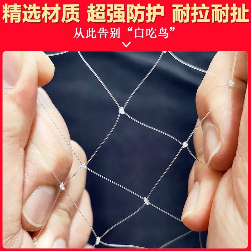 尼龙防鸟网天网驱鸟网果树樱桃葡萄果园农田养殖鱼塘大棚养殖
