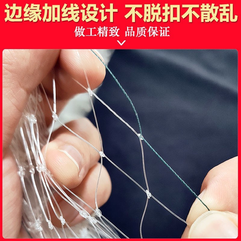尼龙防鸟网天网驱鸟网果树樱桃葡萄果园农田养殖鱼塘大棚养殖