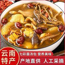 七彩菌菇包云南野菌类干货特产羊肚菌姬松茸新鲜菌汤包煲汤