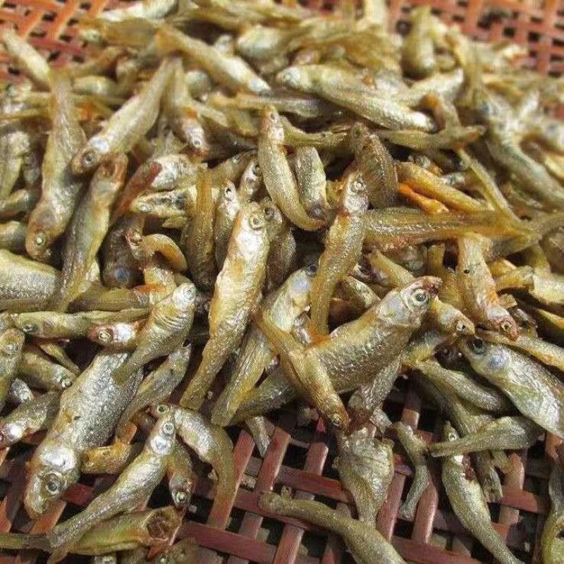 干小鱼