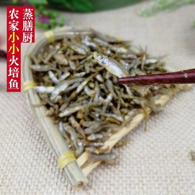干小鱼