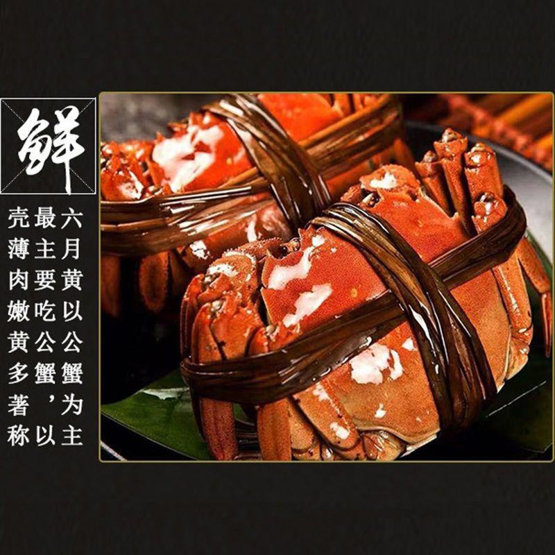 大闸蟹活体海鲜鲜活特大全母蟹海鲜螃蟹水产螃蟹