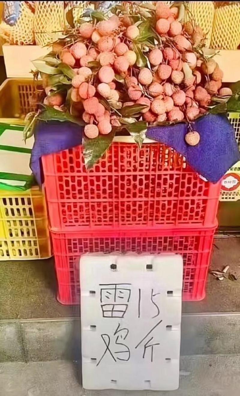 专业代办麻垌荔枝产地中国荔枝之乡专业团队代办经验20年