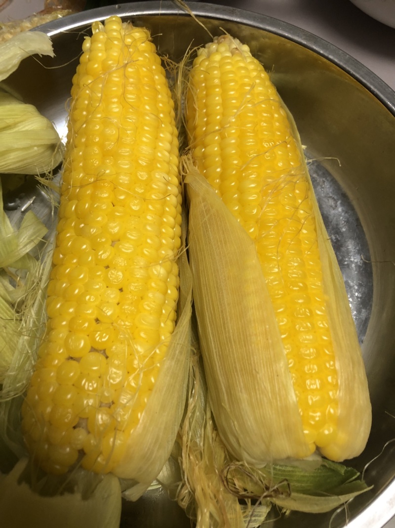 预售玉米
