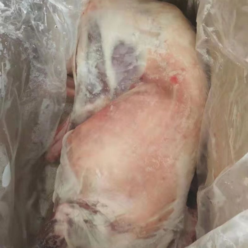 新鲜冷冻羔羊内蒙古烤全羊羔羊全羊鲜冻白条羊全羊整只烤全羊