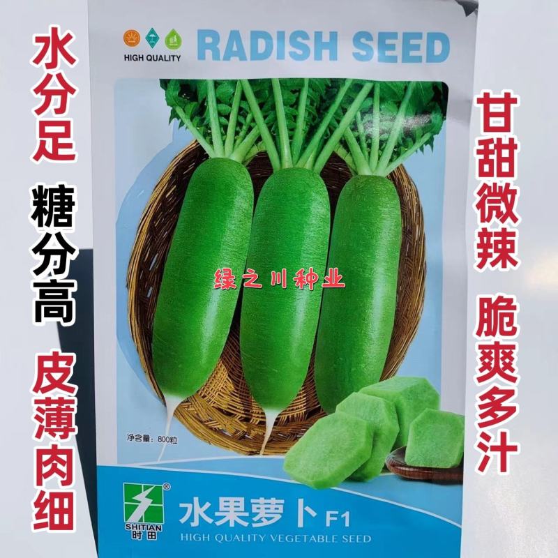 皮薄肉细甘甜微辣水果萝卜种子水分足青皮青肉萝卜种子秋