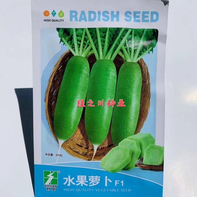 皮薄肉细甘甜微辣水果萝卜种子水分足青皮青肉萝卜种子秋