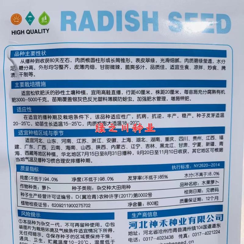 皮薄肉细甘甜微辣水果萝卜种子水分足青皮青肉萝卜种子秋