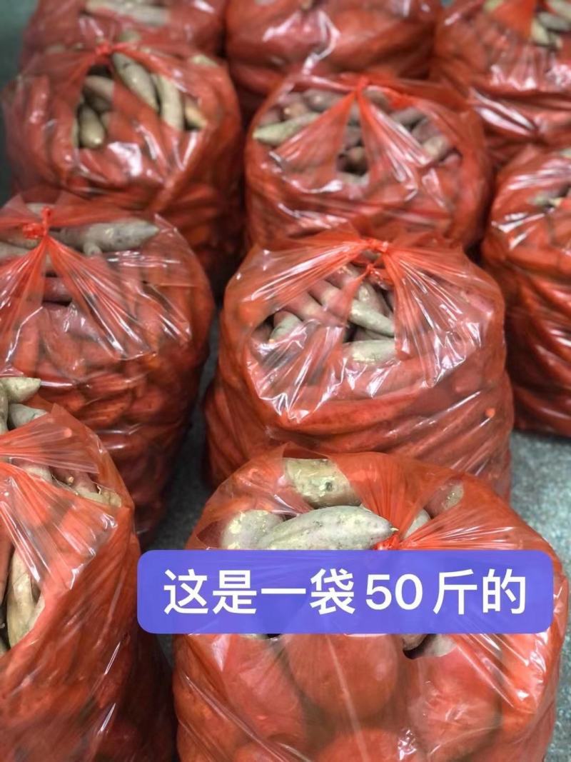 饶平红薯番薯小香薯粉糯香甜揭阳红超市和食堂对接