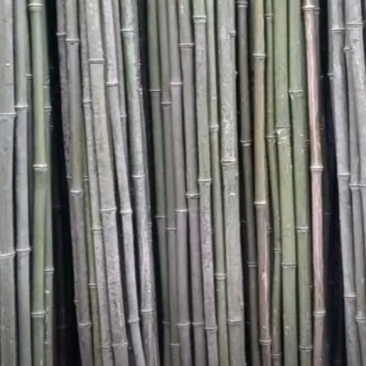 菜架竹竿，大棚竹竿，旗杆，大小规格都有，接受定制