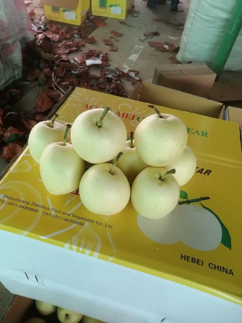 皇冠梨
