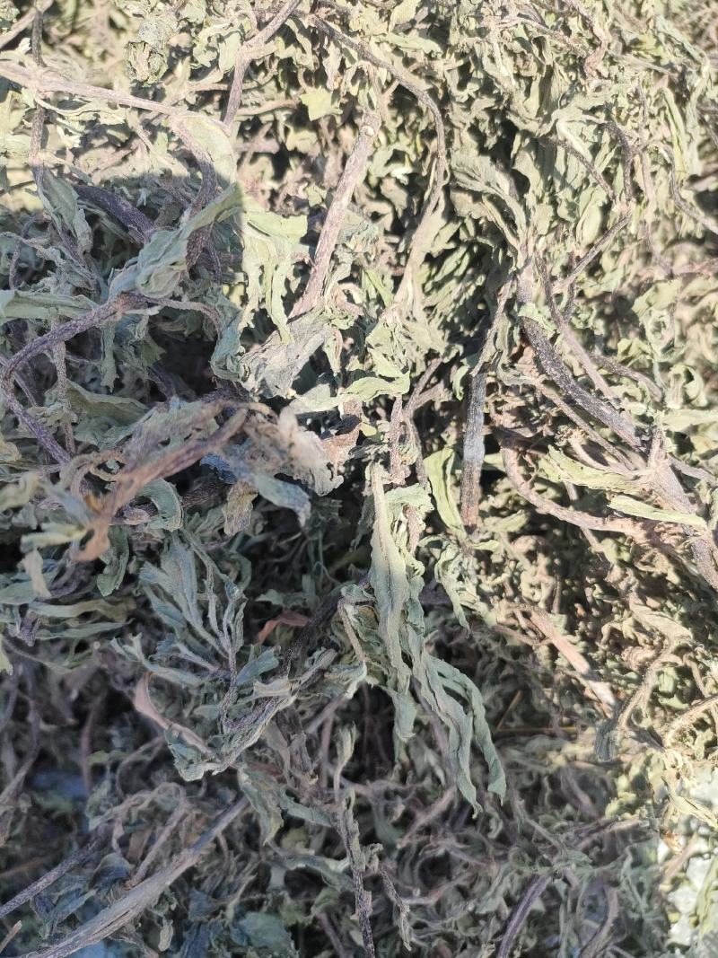 旱莲草