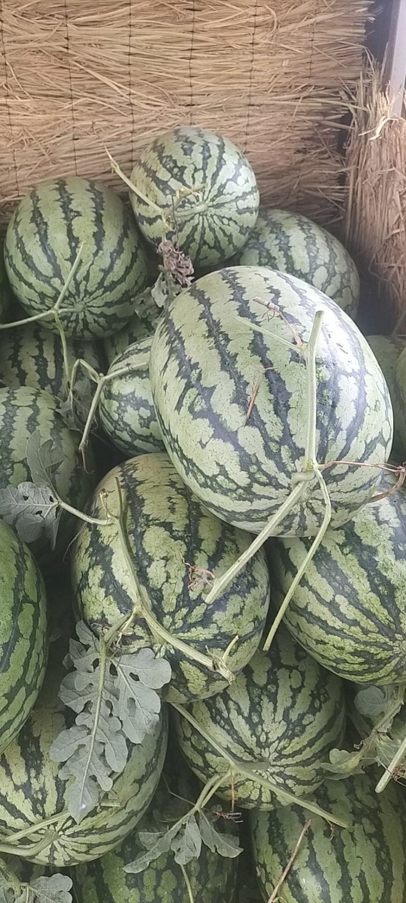 新机遇