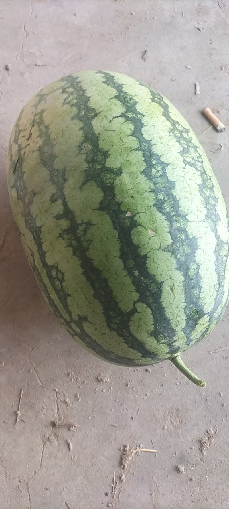 新机遇
