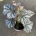 海威秋海棠室内盆栽北欧进口绿植网红ins风观叶开花植物