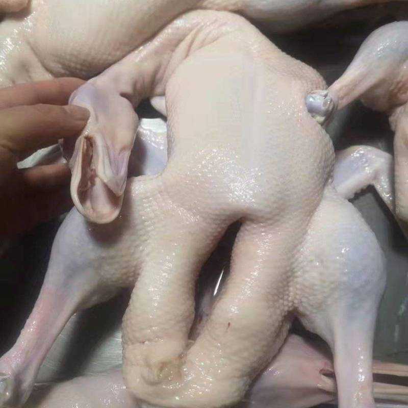 樱桃谷瘦肉型白条鸭及副产