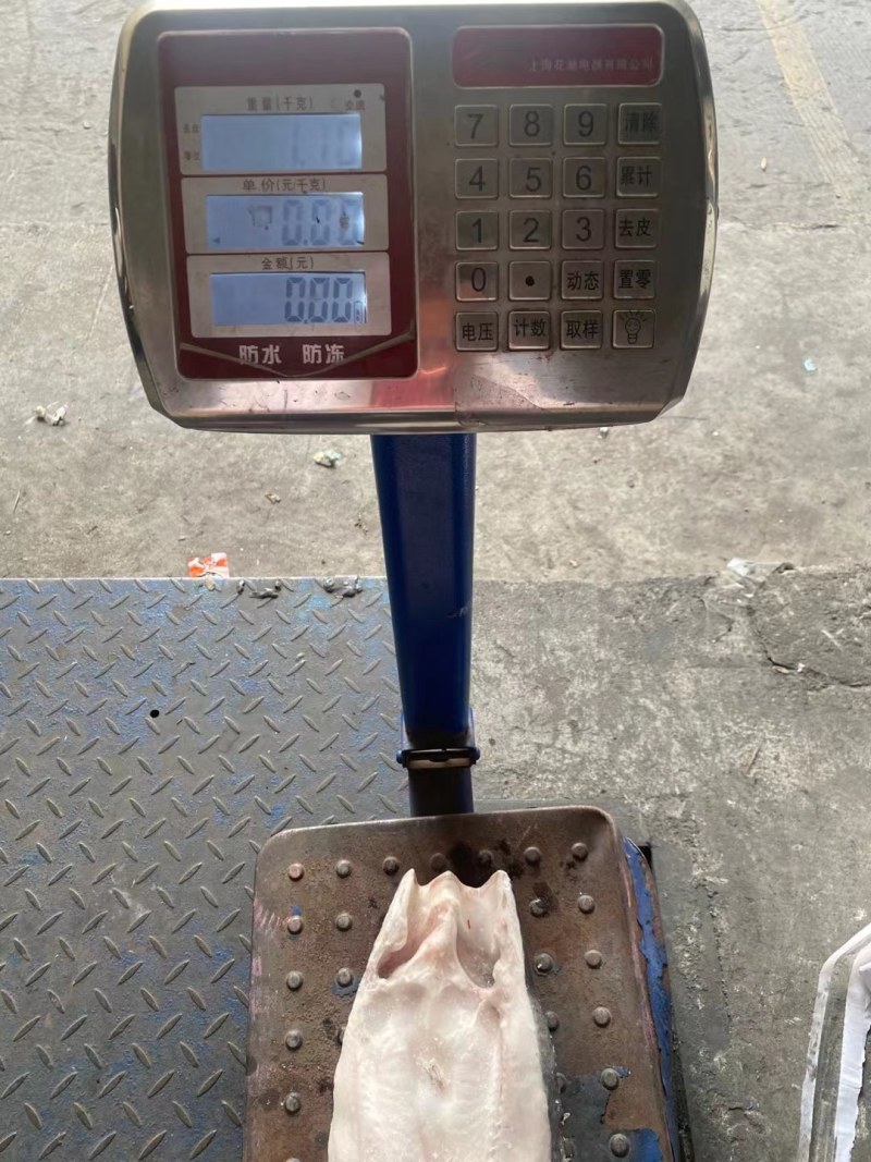 开背鱼巴沙鱼，肉质鲜美，价格美丽，让客户有钱赚