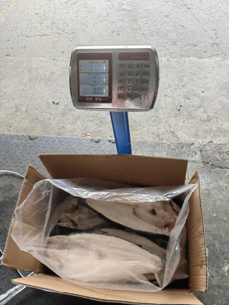 开背鱼巴沙鱼，肉质鲜美，价格美丽，让客户有钱赚
