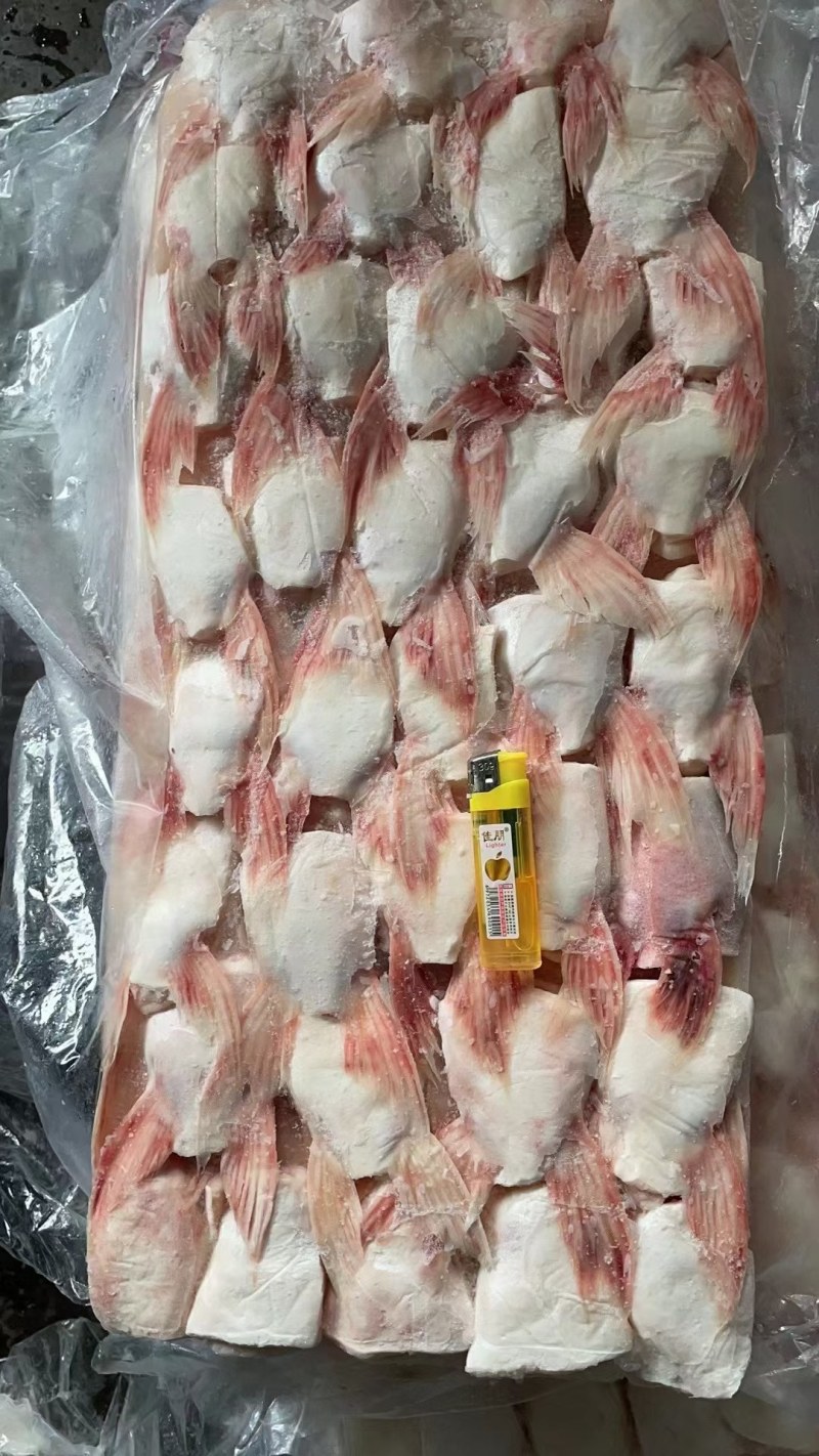 巴沙鱼鳍肉质鲜美质优价廉老板们的赚钱神器