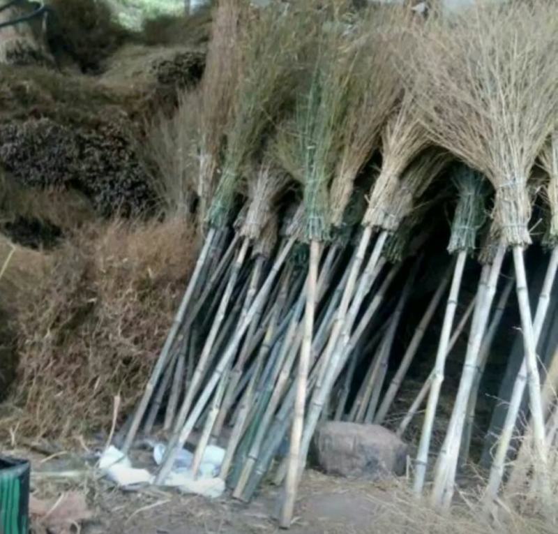 大山竹子，竹扫帚，手工制造，结实耐用，用着舒心