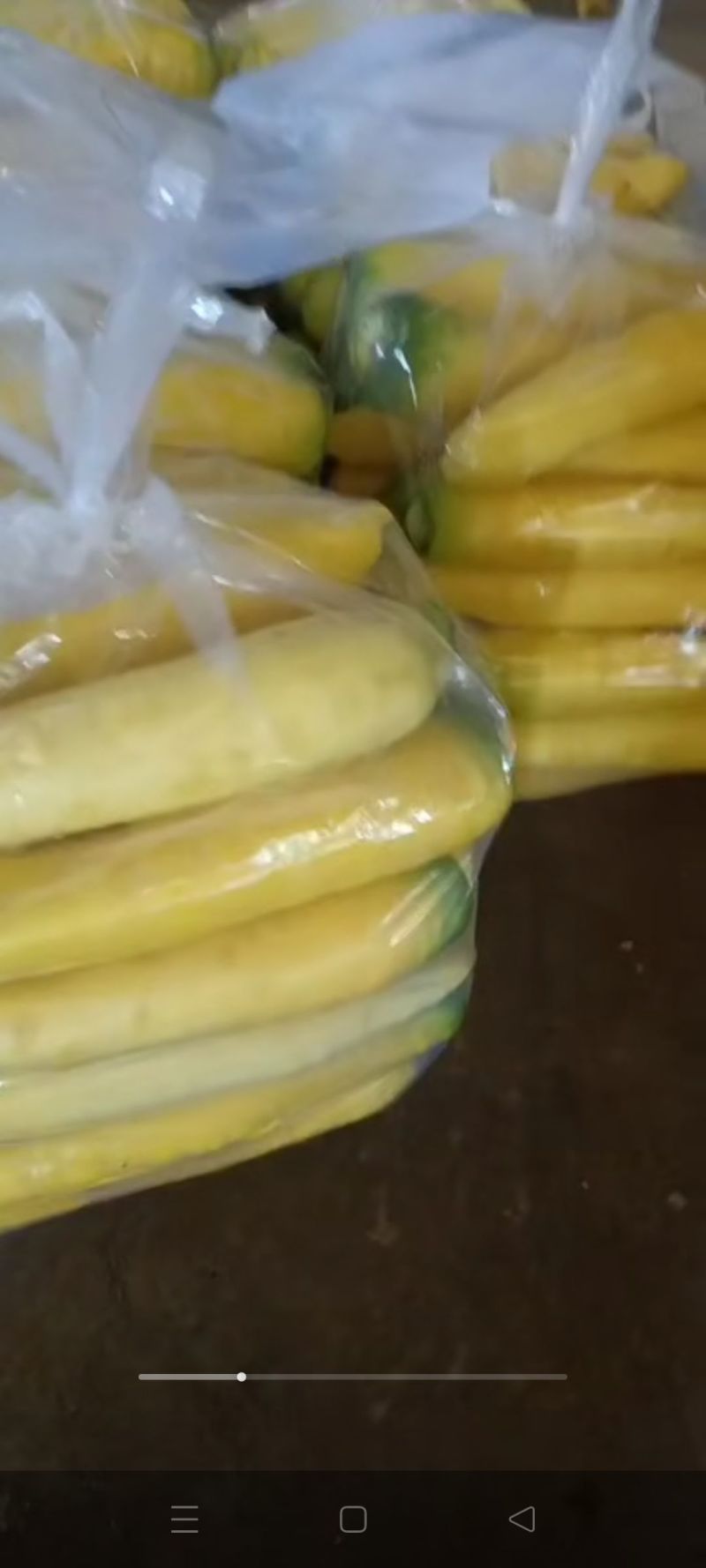 新疆红萝卜大量上市中。