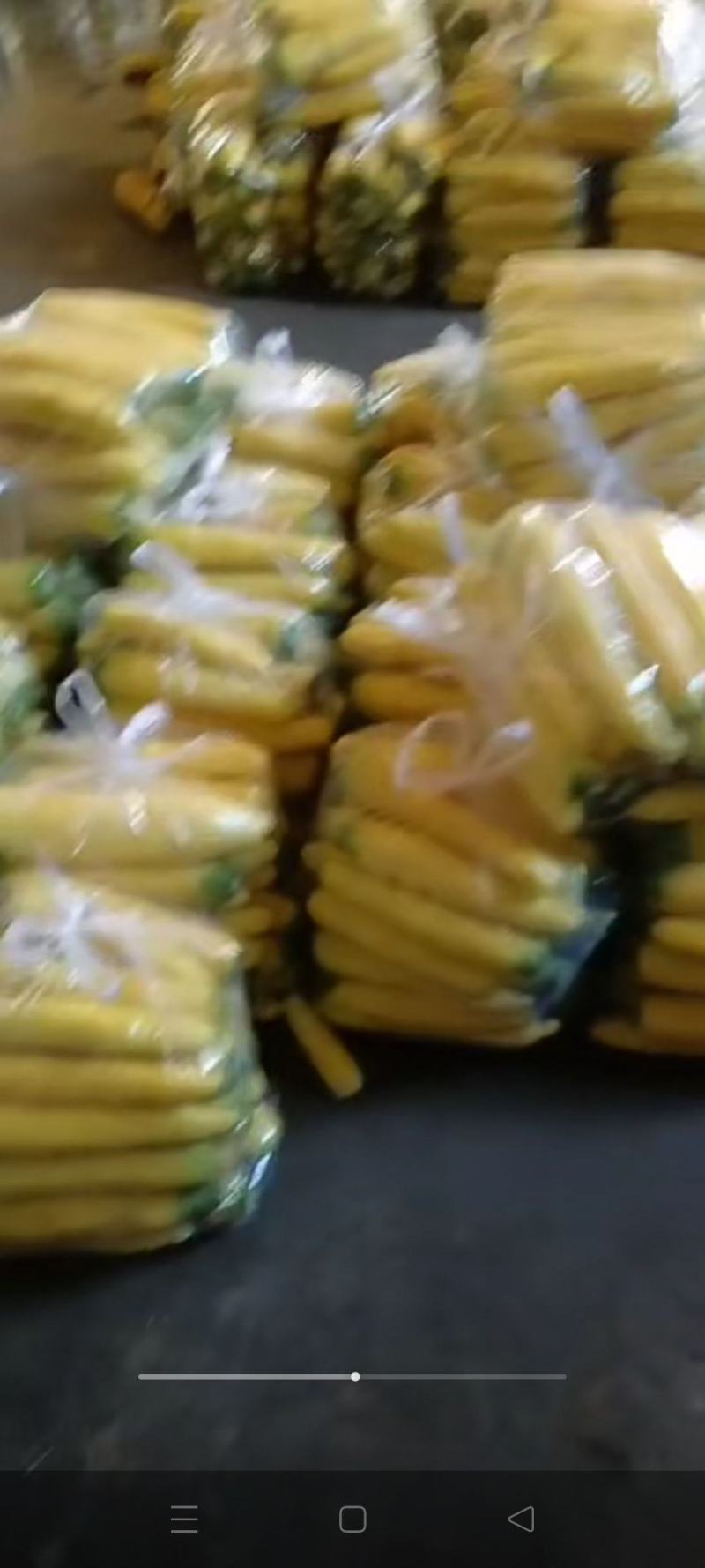 新疆红萝卜大量上市中。