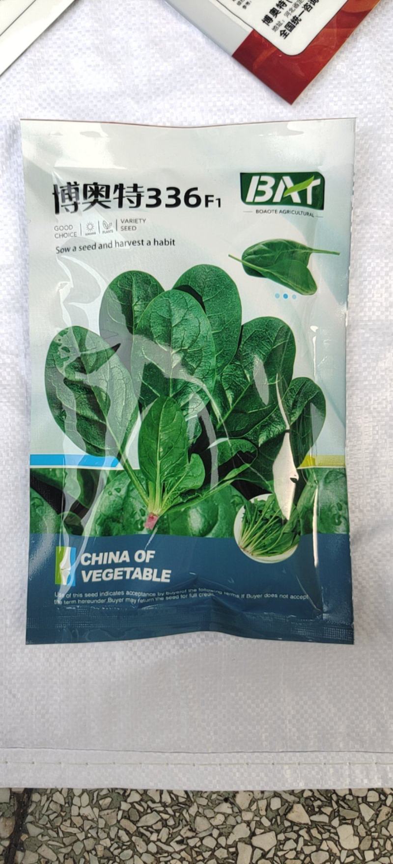 博奥特336杂交菠菜种子叶片黑油亮春秋大棚及越冬拱掤种植
