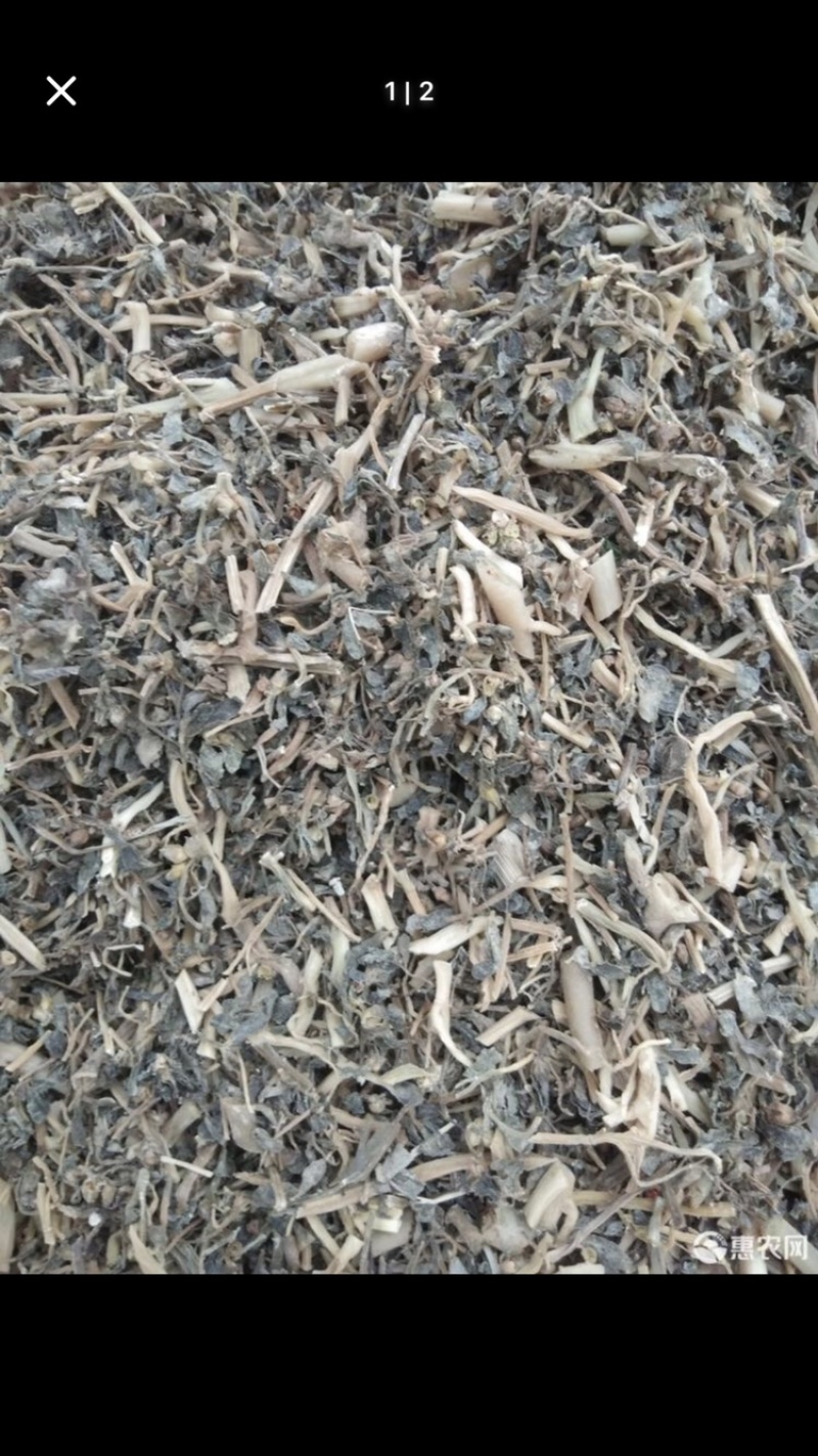 我们家这个马齿苋，大家可以从细节上看。干净板正。