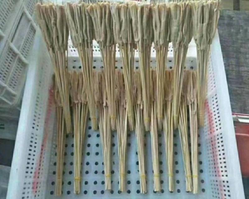 串串香鸭肠串山东天然纯手工卤制五香铁板鸭肠串