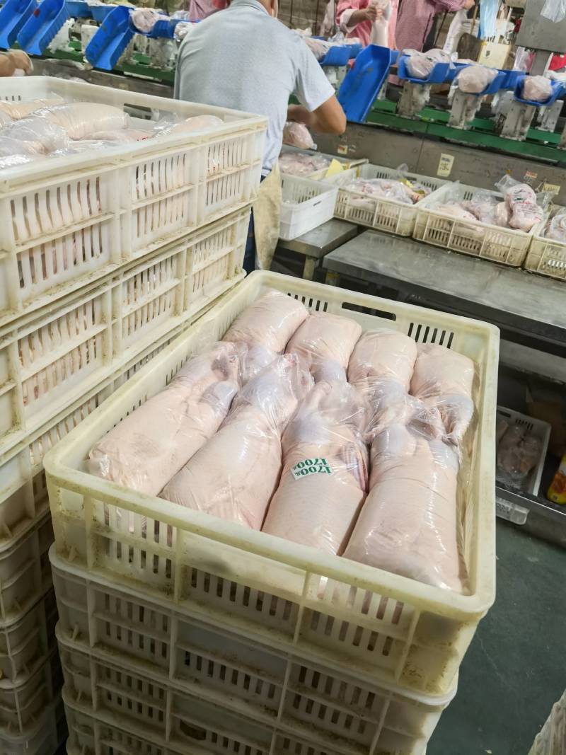 白条鸭，各种规格齐全供应，鲜品冻品白条鸭都有货