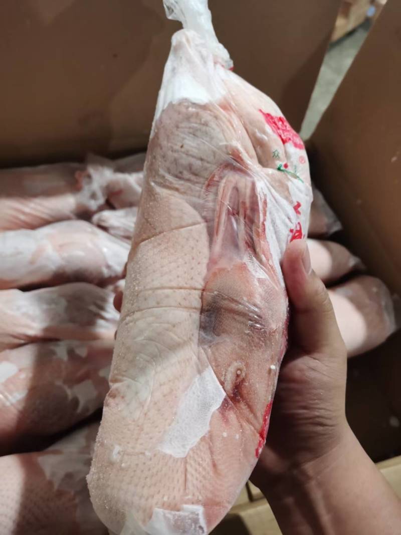 白条鸭，各种规格齐全供应，鲜品冻品白条鸭都有货