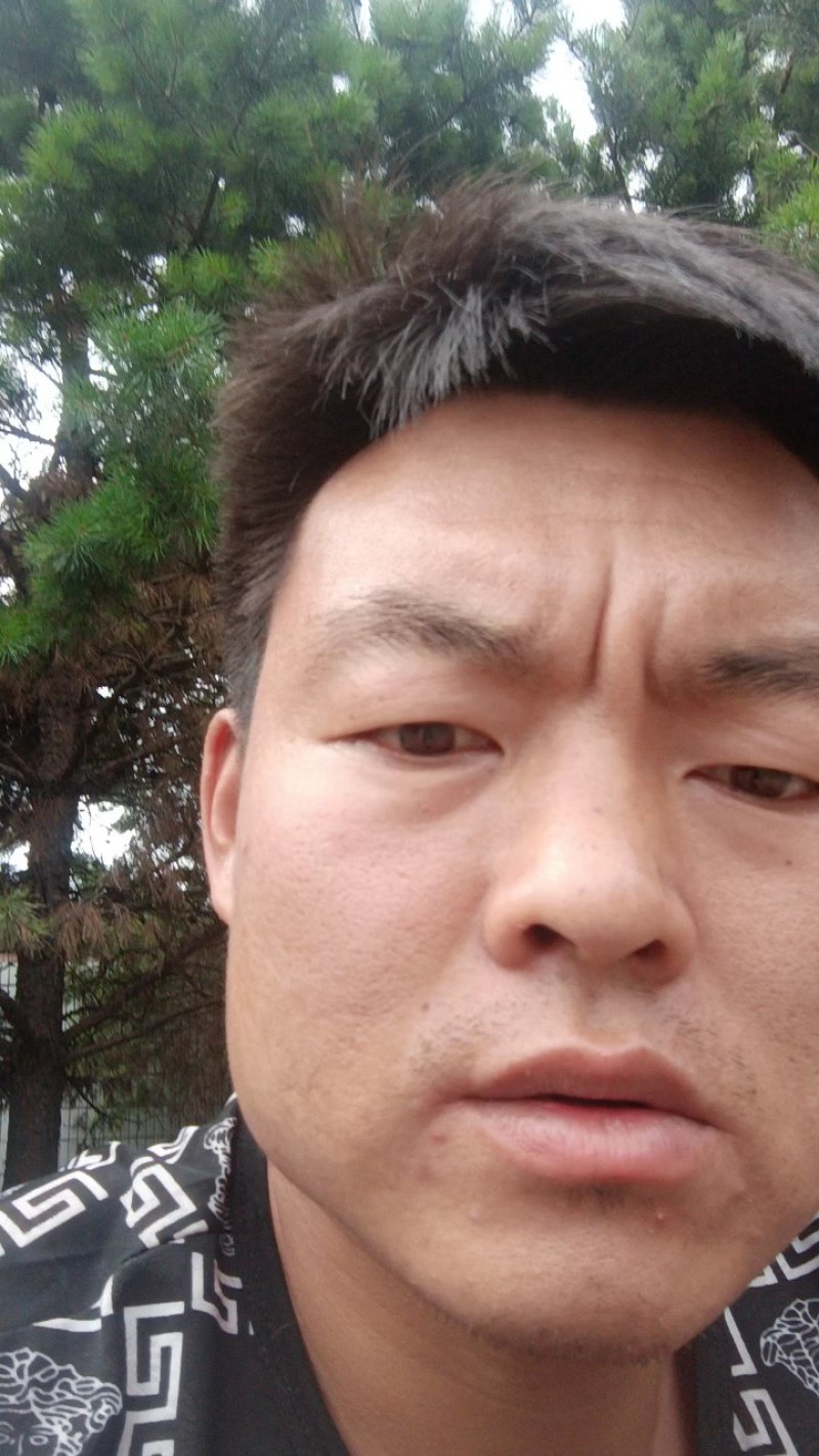鹿鞭膏厂家