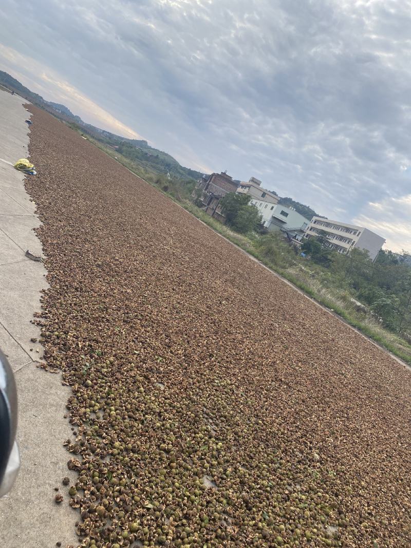 500目超细茶籽粉家用清洁工业去油污茶枯粉无添加洗碗