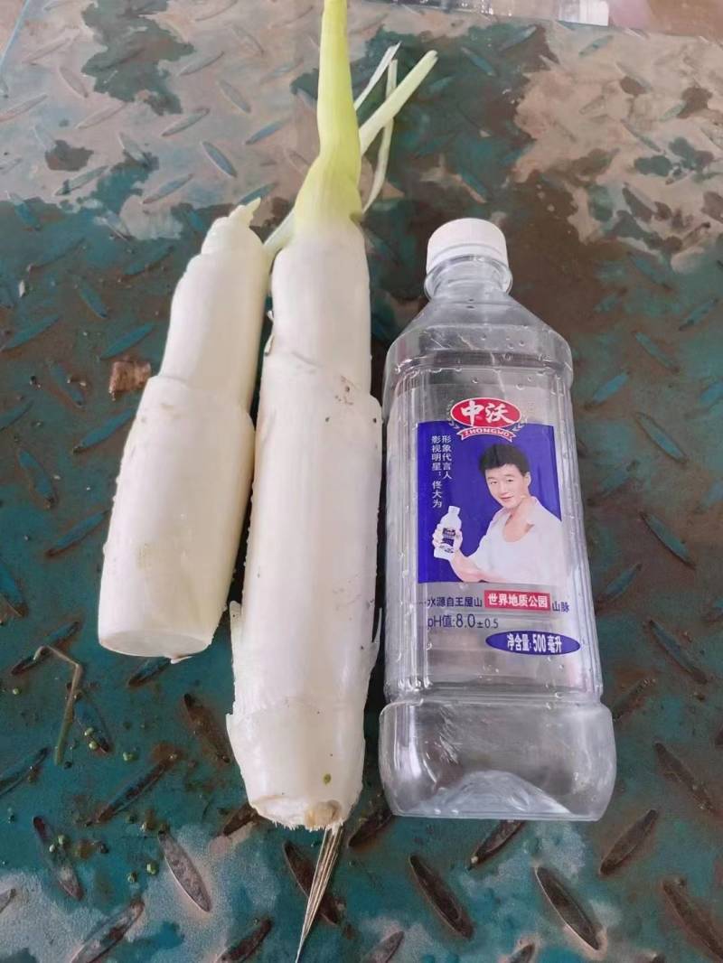 【万亩单季茭白】肉质白现摘现发价格优惠全国代发