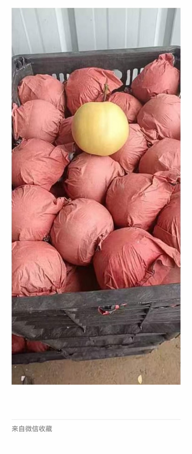 专业代卖。请联系。