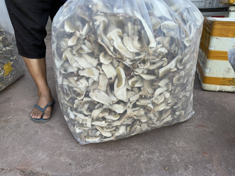 牛肝菌、红葱菌需要的老板可以看看大量有货联系我呦