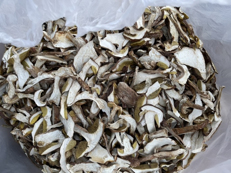牛肝菌、红葱菌需要的老板可以看看大量有货联系我呦