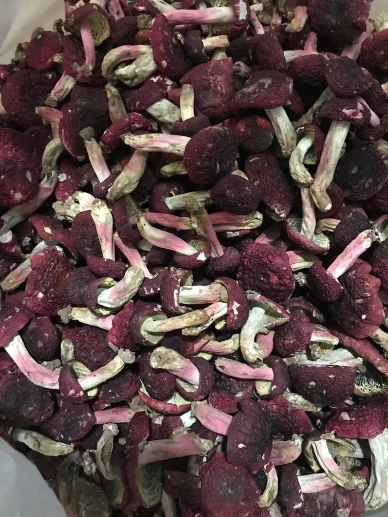 干的红菇标菇平开小菇都有货食用菌子需要联系