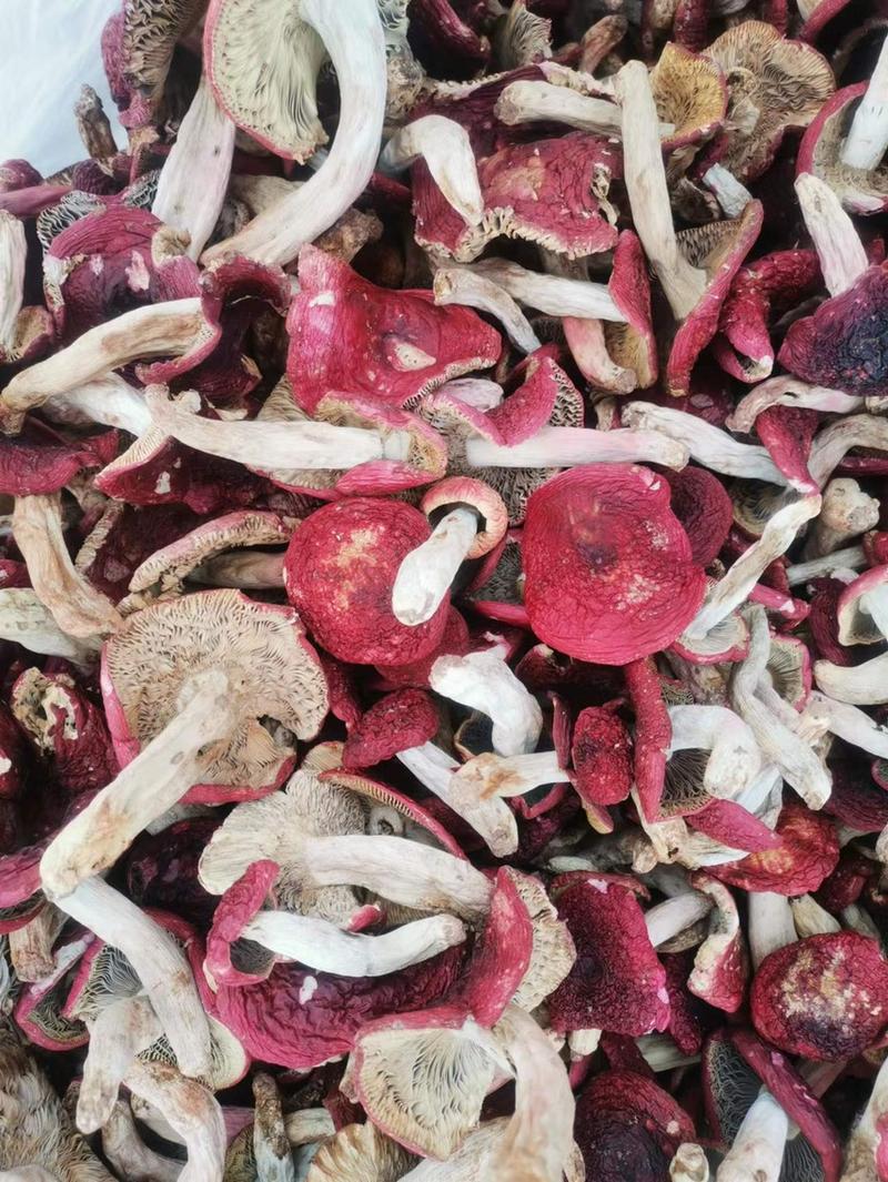 干的红菇标菇平开小菇都有货食用菌子需要联系