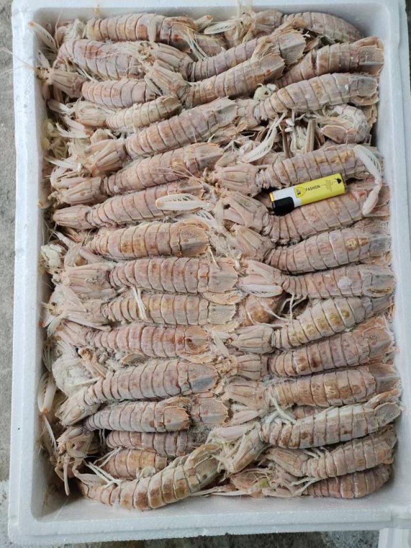 皮皮虾