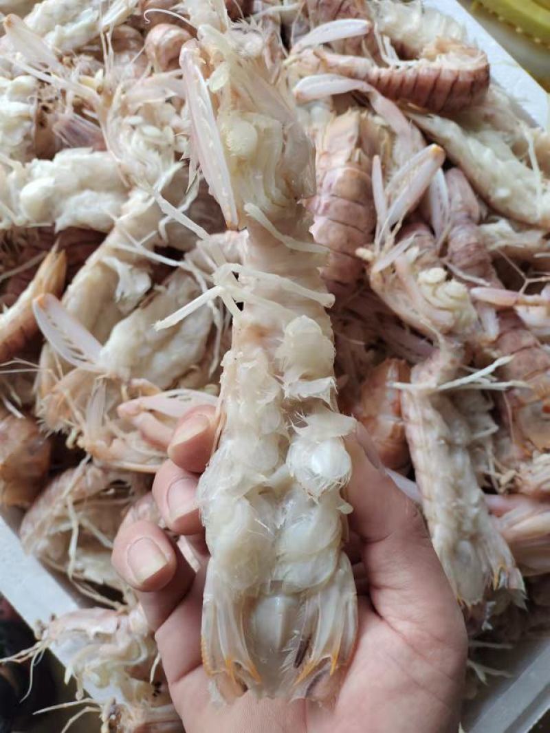 皮皮虾