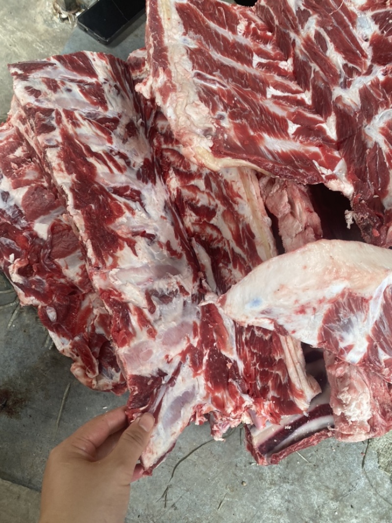 牛脊骨，国产纯干全牛脊骨，多肉可按客户要求切块