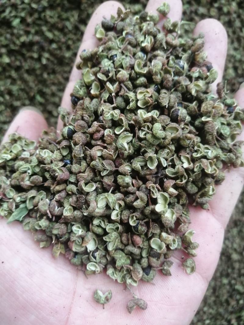 今年新产青花椒，货量稳定，量大价格优惠，