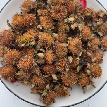 刺梨精选野生干货一手货源欢迎选购