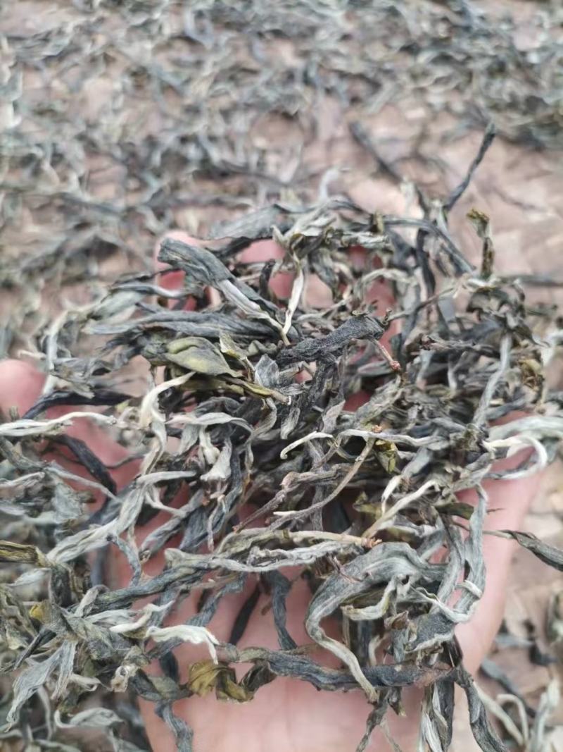云南古树茶