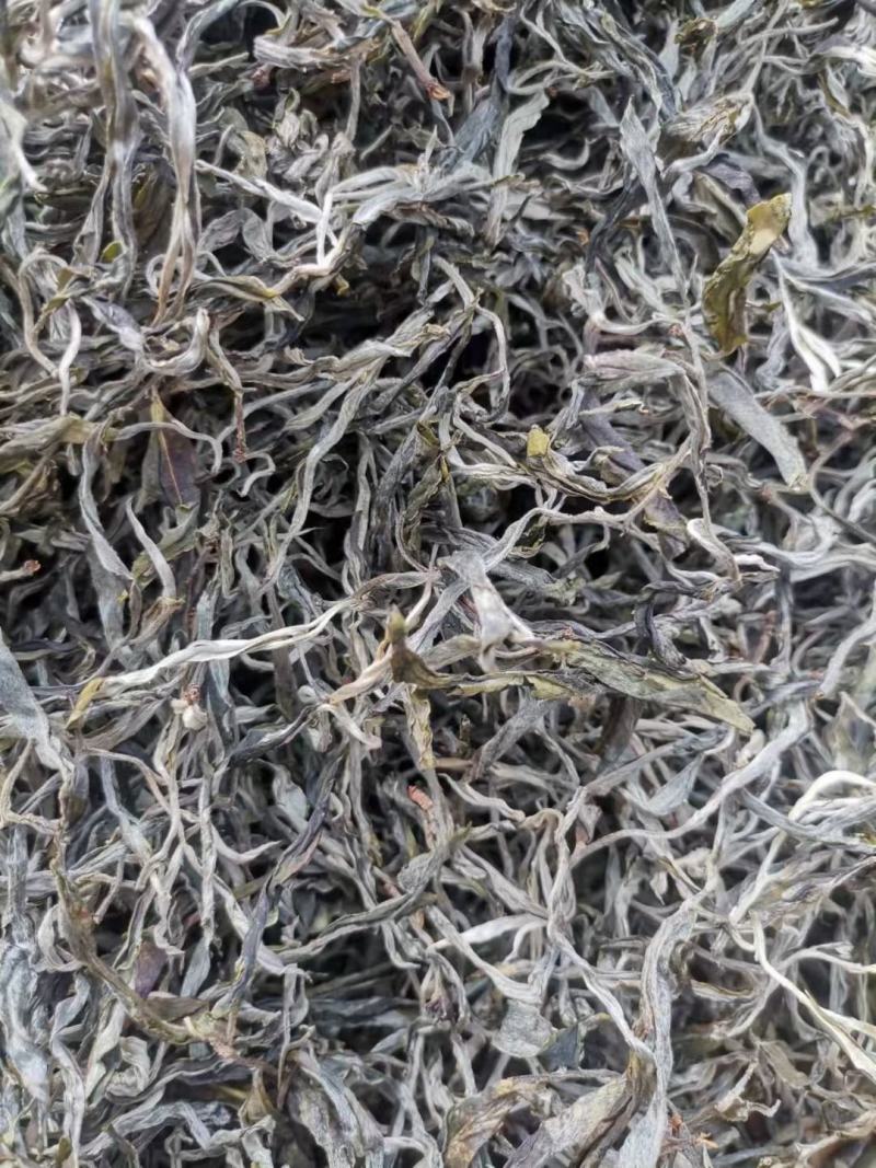 云南古树茶