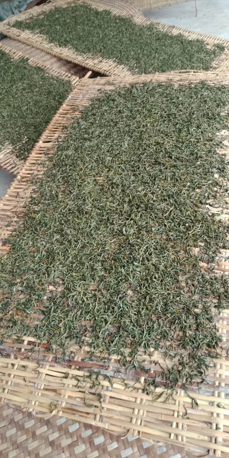 云南古树茶