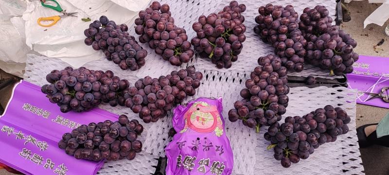 代办陕西宝鸡巨峰颗粒大串大，联系我时请说通过一亩田
