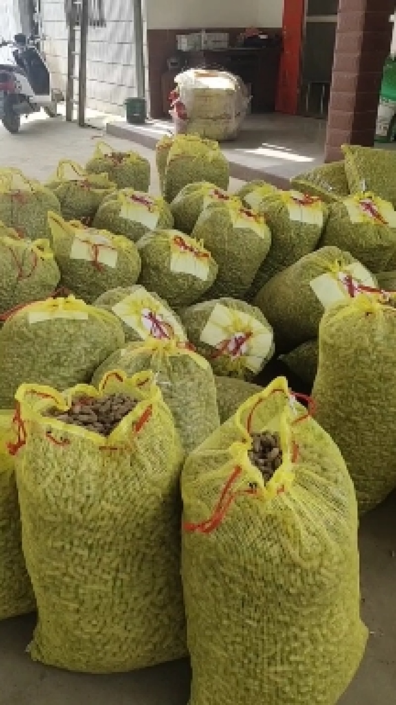湖北鲜花生四粒红鲜花生小白沙红米鲜花生产地直销